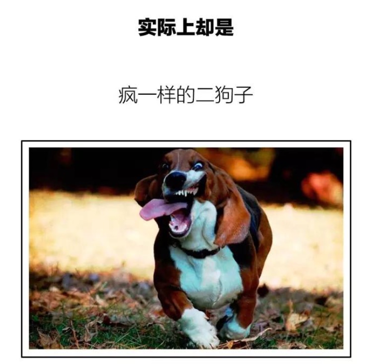 新建文件夹IMG_4212(20170830-160921).PNG