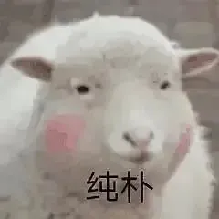 图片15.png