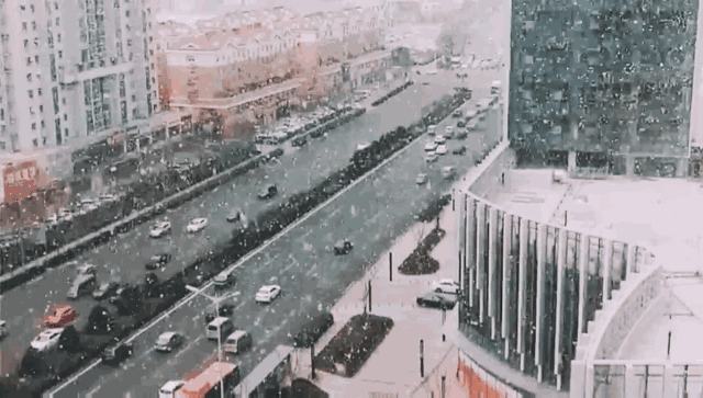 5.gif