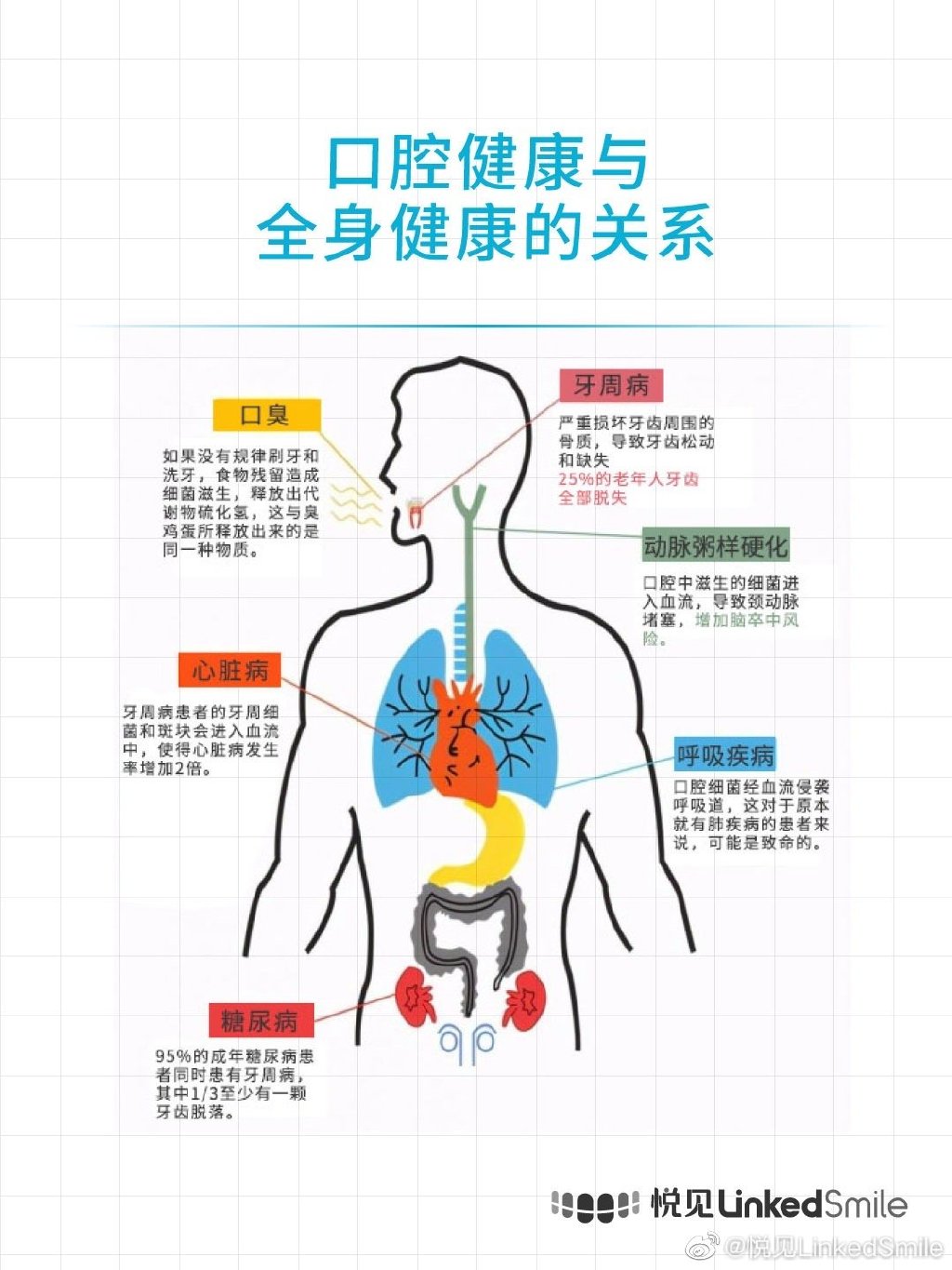牙齿3.jpg