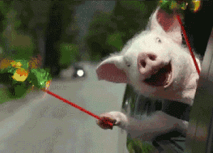 v2-7d6a1586ef8d05dce371d8d0e7257ef4_b.gif