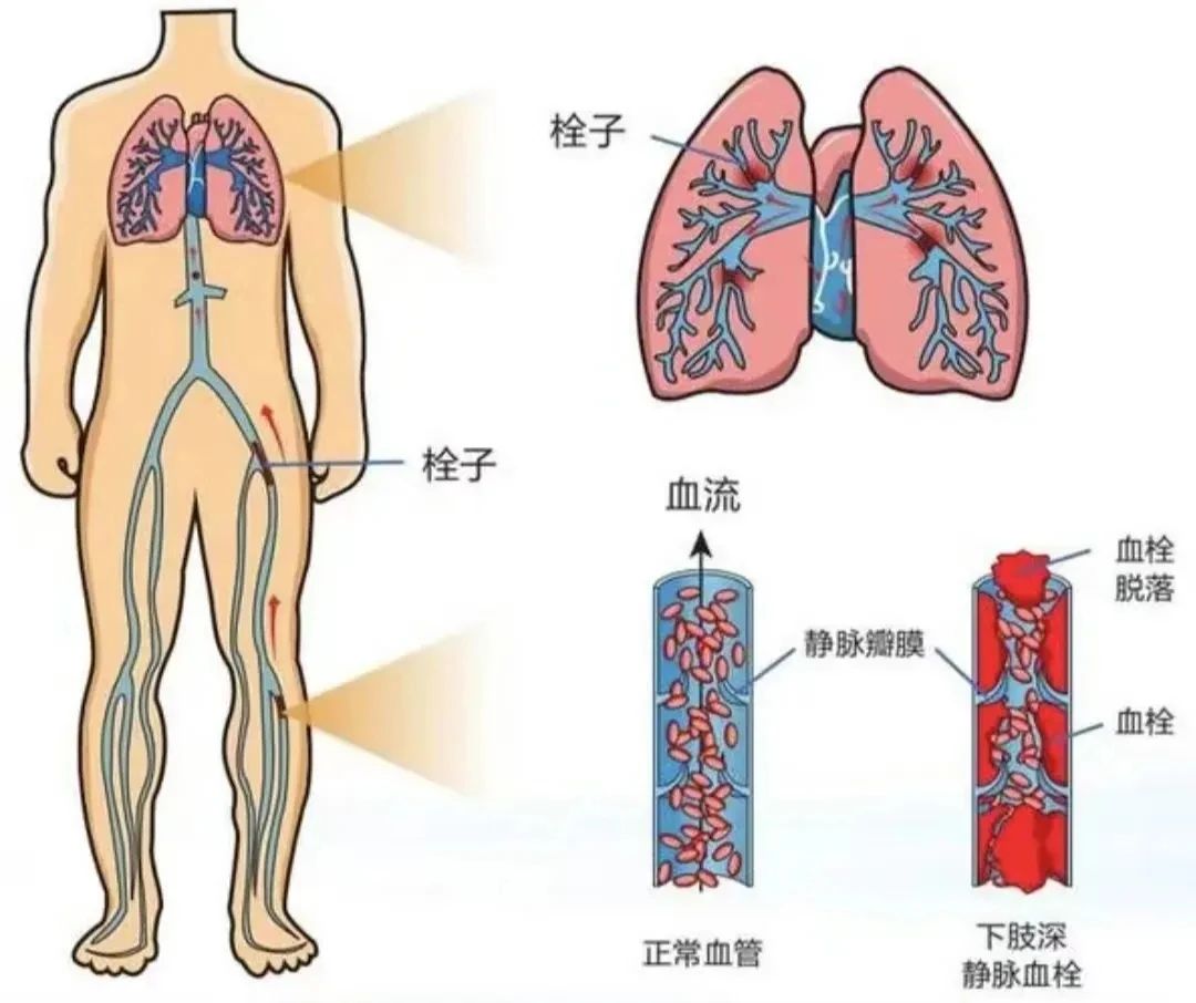 微信图片_20240926093253.jpg